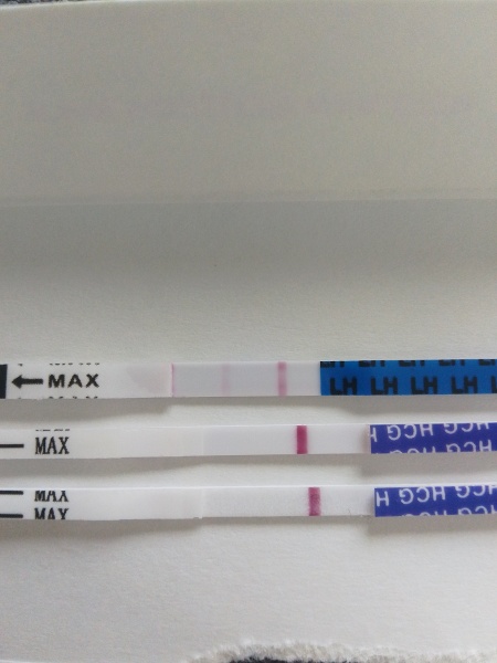 Letzrazole cycle day 25