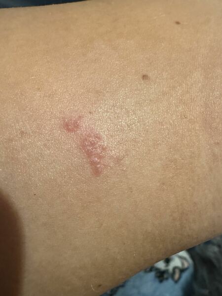 What could this be?