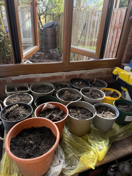 The Year Round Nigel Slater Discussion thread