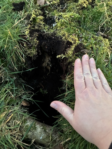 Leg got stuck in a hole in my garden!