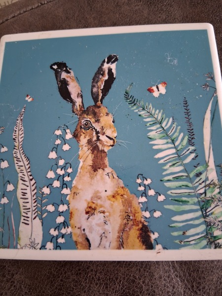 Anyone read 'Raising Hare?'