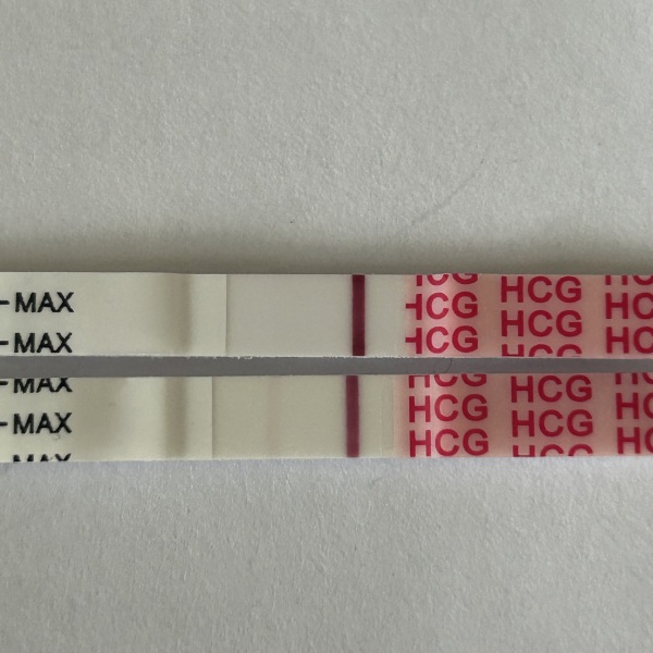 Wondfo indents?
