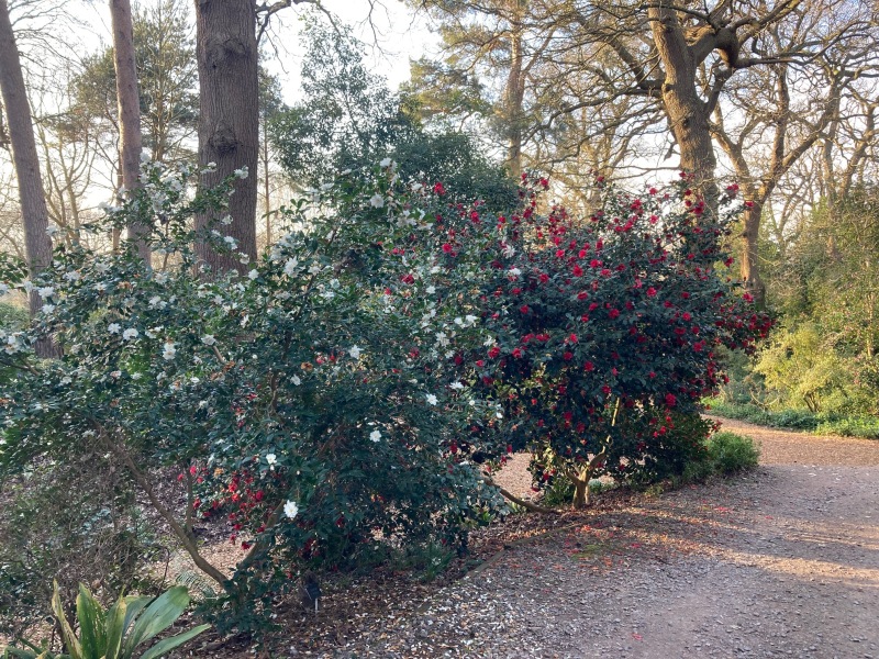 The Great Recovery part 4