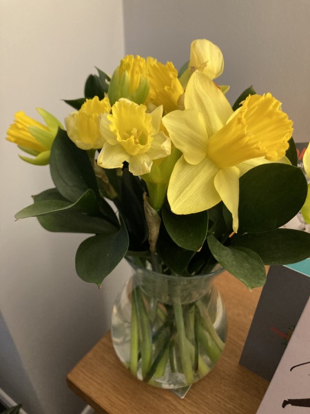 Thread 20 Starmer - Spring Statement