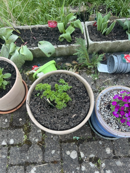 Is there something wrong with this compost?