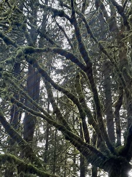 Come and tell us your dull and unexciting news 33: Calmly through the day