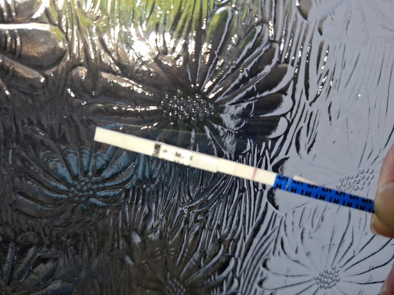 Clearblue advanced ovulation test - possible to pick up pregnancy??