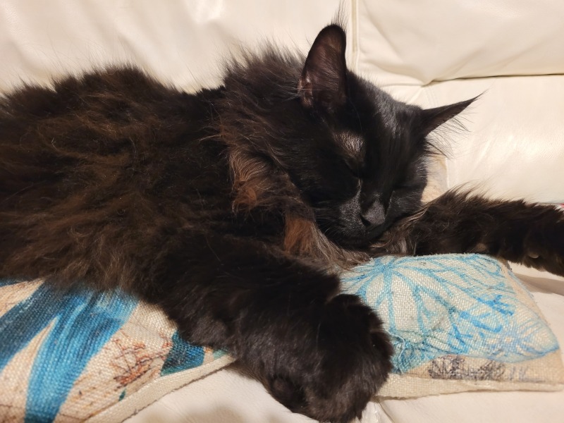 Thread 20 Starmer - Spring Statement