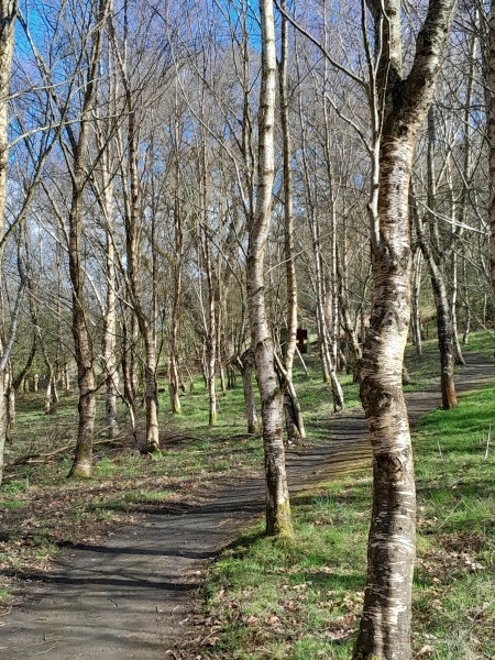 Any Witches Here? Part 21