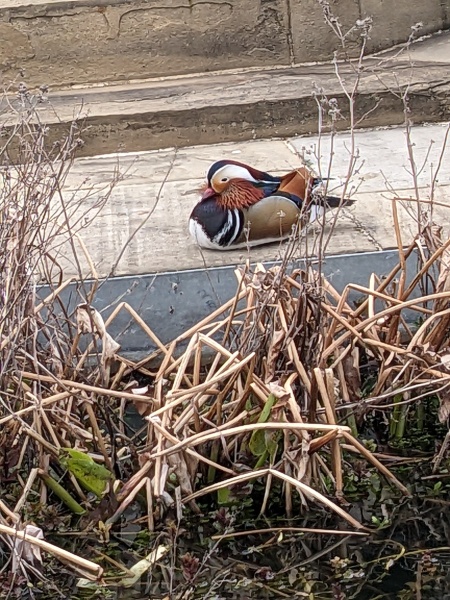 Come and tell us your dull and unexciting news 33: Calmly through the day