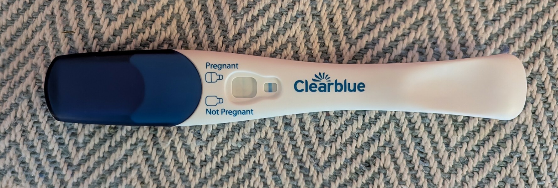 11dpo
