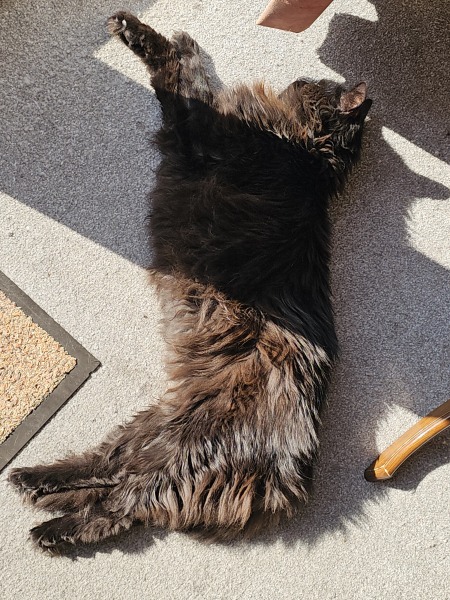 Lap dances, strippers and punch-ups - the Excellent Cats arrange a stag party