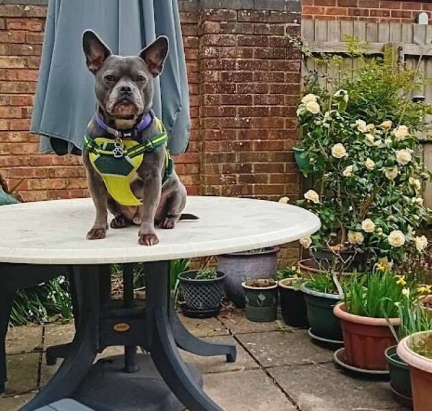 The Continuing Support Thread for Anyone Trying to Lead an Alcohol-Free Life Spring 2025