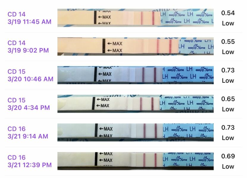 Premom under scoring OPK?