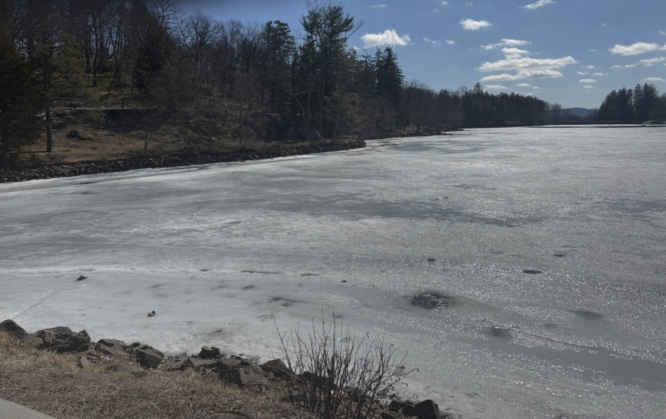 Come and tell us your dull and unexciting news 33: Calmly through the day