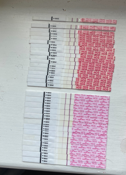 Line progression - 15dpo