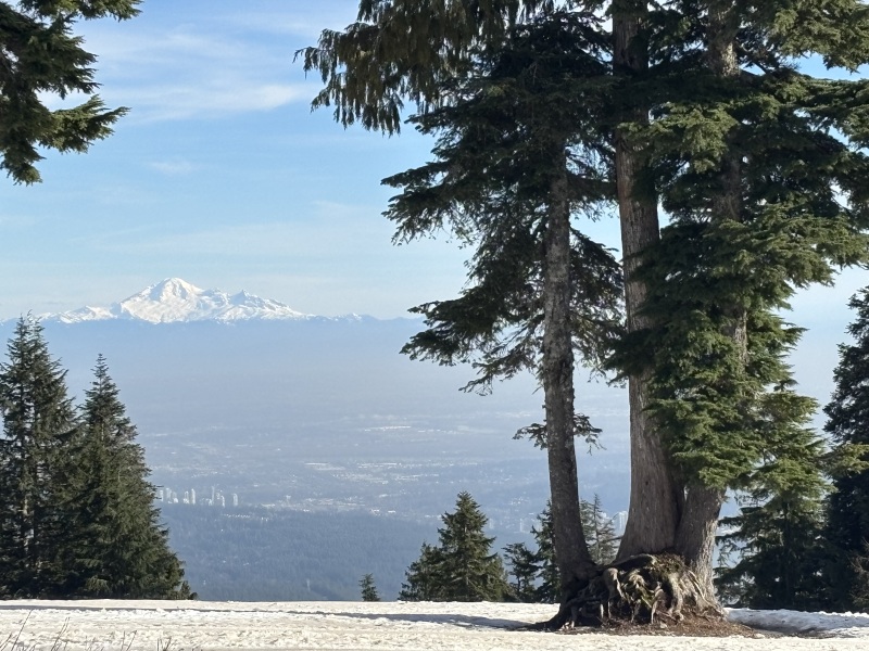 Come and tell us your dull and unexciting news 33: Calmly through the day