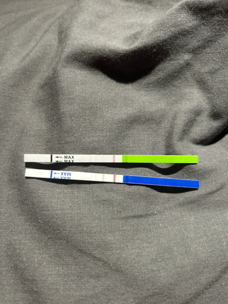 Can someone please help me?!!