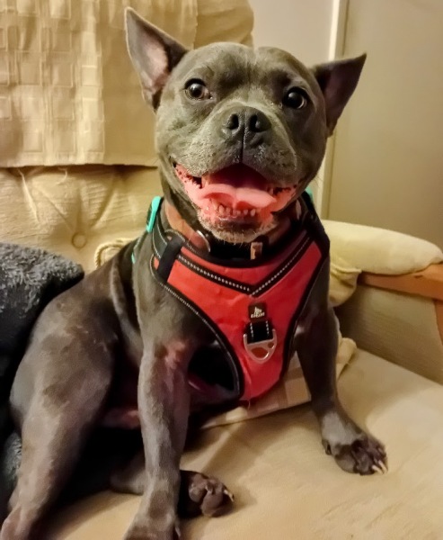 The Continuing Support Thread for Anyone Trying to Lead an Alcohol-Free Life Spring 2025