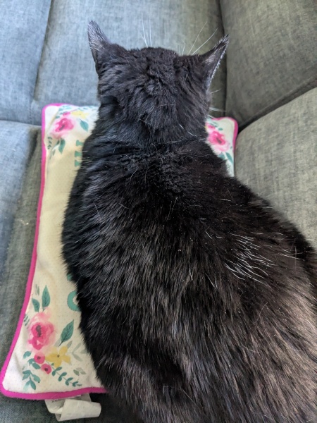 Thread 19 Starmer - A Coalition of the Willing