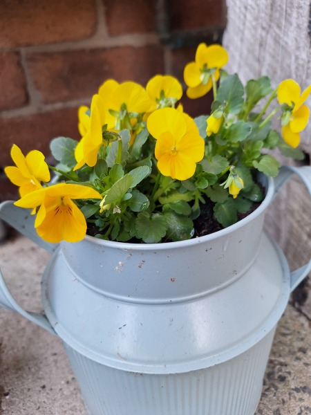 The Year Round Nigel Slater Discussion thread