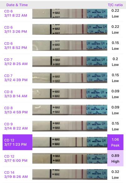 35yrs + and trying ✨🫶🏼