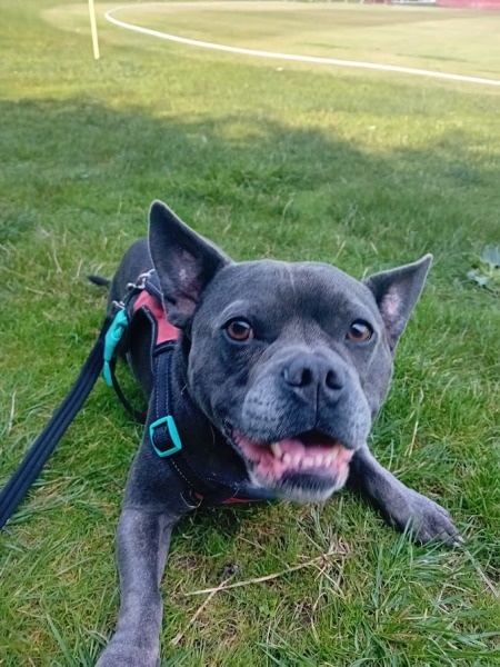 The Continuing Support Thread for Anyone Trying to Lead an Alcohol-Free Life Spring 2025