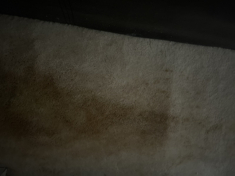 Carpet stain