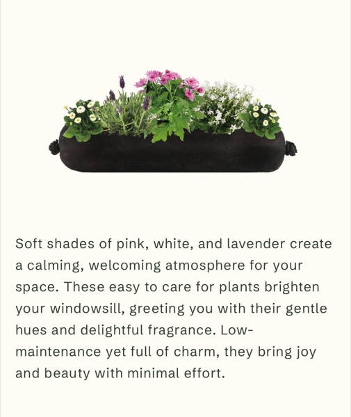 Spring potted flowers question for rookie