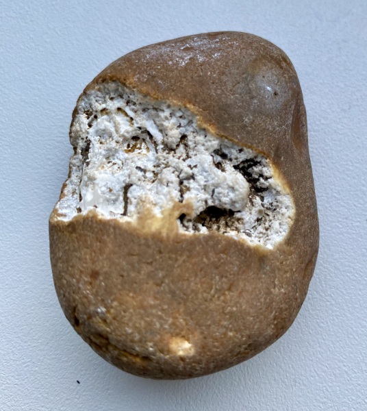 Roll up, Ladies and Gentlecreatures, the Bluestocking has been redecorated