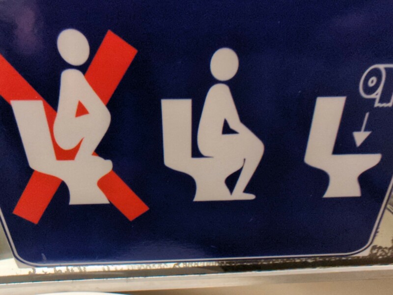 Help! She's standing on the toilet seat!!