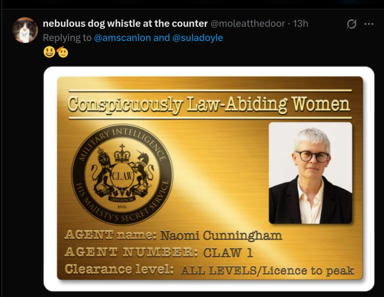 Roll up, Ladies and Gentlecreatures, the Bluestocking has been redecorated