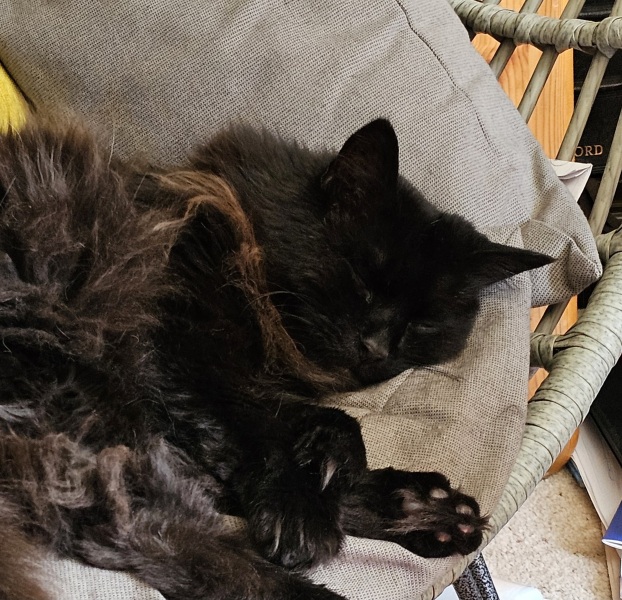 Thread 20 Starmer - Spring Statement