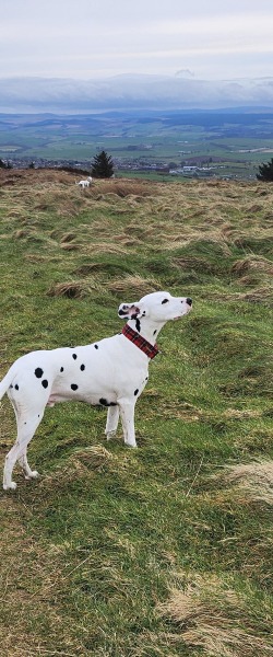 Mounjuro August  thread 12