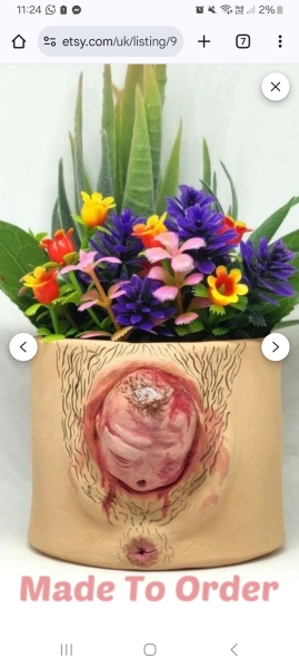 A cock wrapped in bacon?
