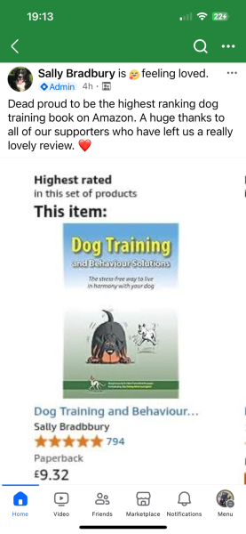 That this level of anxiety in my dog is not normal?