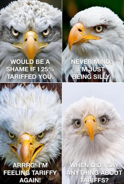 The Orange Man and the State of his Union - Trump thread #139