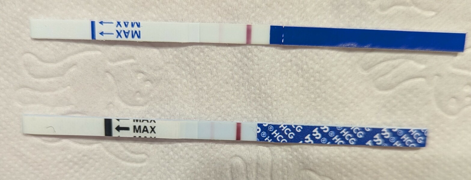 10dpo does anybody see it? X