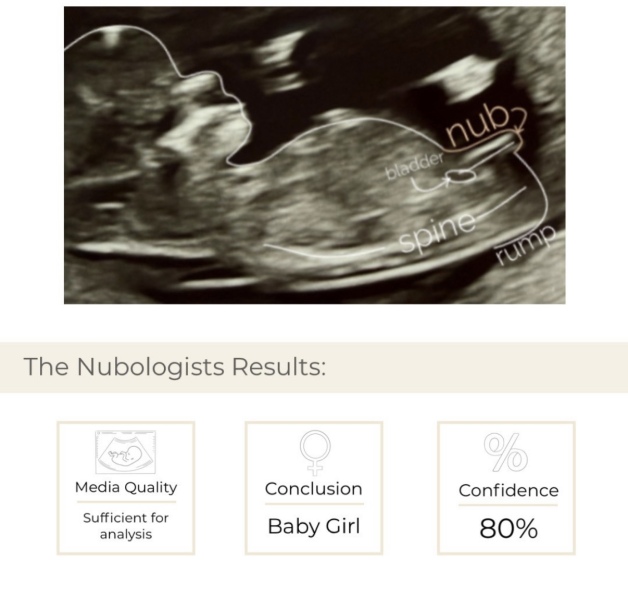 Nub theory