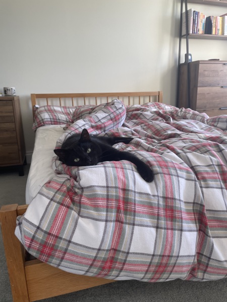 Thread 21 Starmer - Casting Nasturtiums