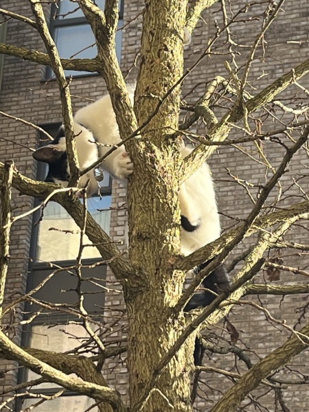 Lap dances, strippers and punch-ups - the Excellent Cats arrange a stag party