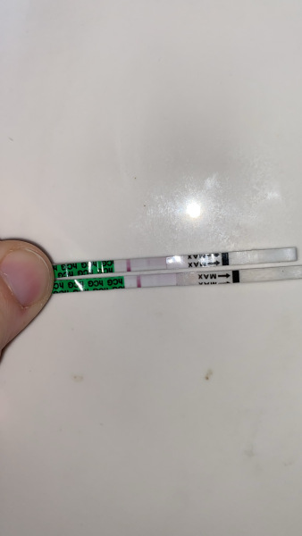 FREEDOM PREGNANCY test?