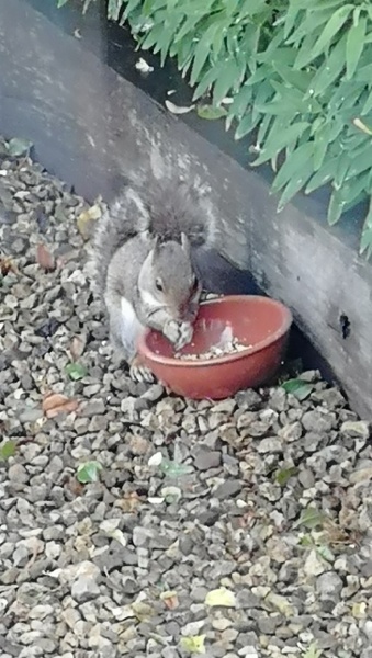 Thread 20 Starmer - Spring Statement