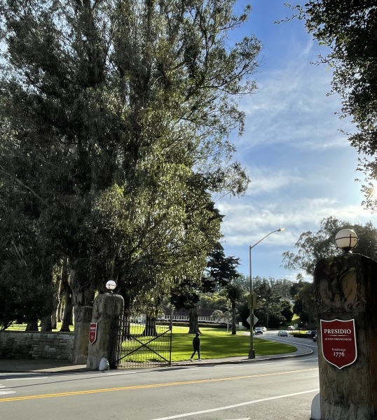 The Year Round Nigel Slater Discussion thread