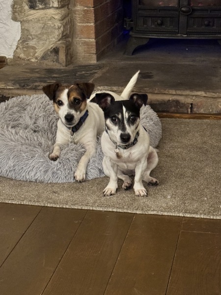 Thread 19 Starmer - A Coalition of the Willing