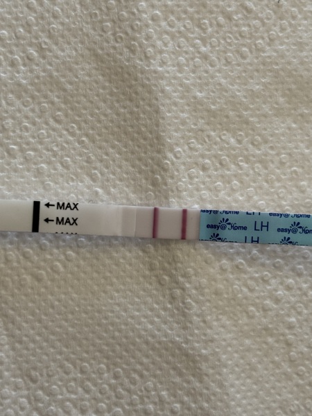 April 2025 TTC Support Group