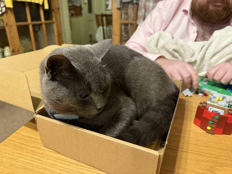 Lap dances, strippers and punch-ups - the Excellent Cats arrange a stag party