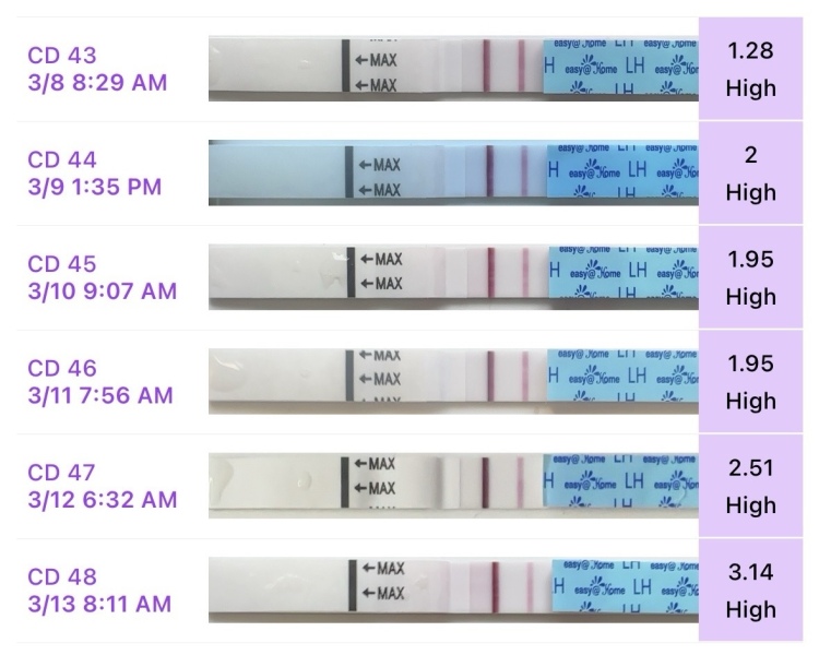 V high t/c ratio on ovulation tests!