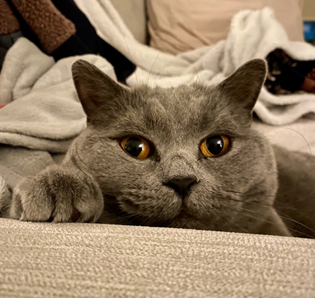 Thread 16 - TalkLair: "Well, I'm not exactly quaking in my stylish-yet-affordable boots, but there's definitely something unnatural going on here."