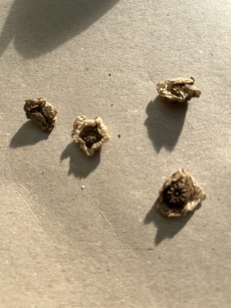 What are these?